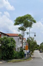 Opera Estate (D15), Terrace #499695591